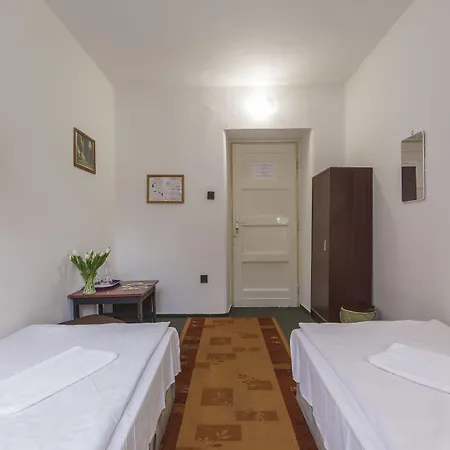 Dominik Panzio Budapest