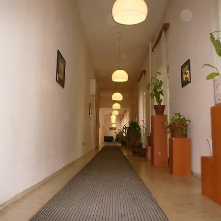 Dominik Panzio Budapest