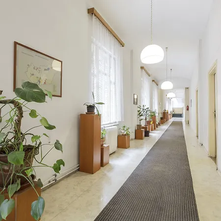 Dominik Panzio Budapest