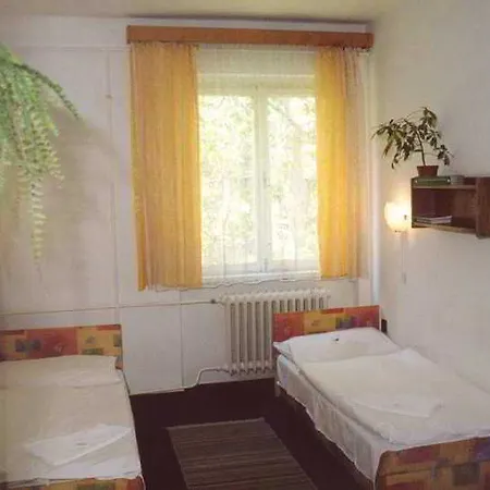 Dominik Panzio 2* Budapest