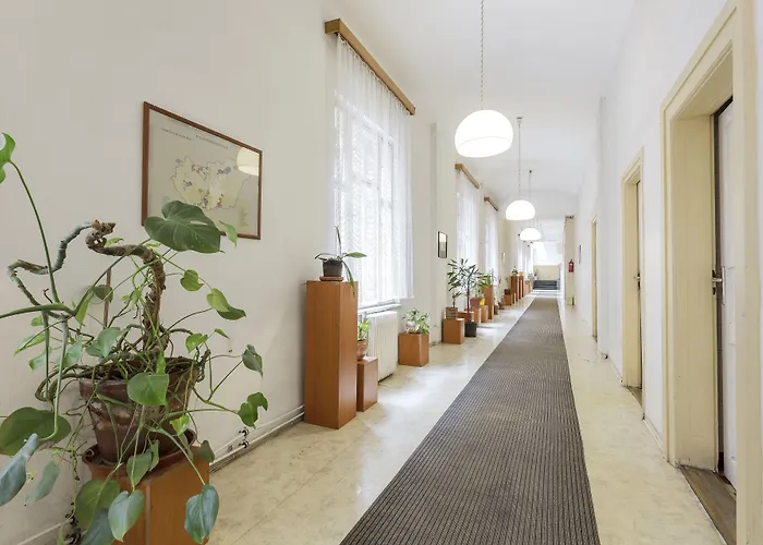 Dominik Panzio Budapest