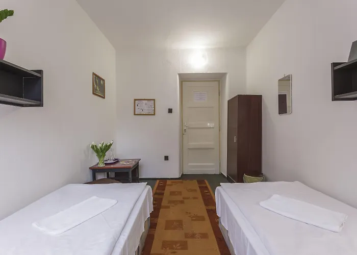 Dominik Panzio بودابست