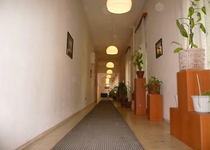 Dominik Panzio بودابست