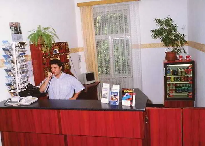 Dominik Panzio بودابست